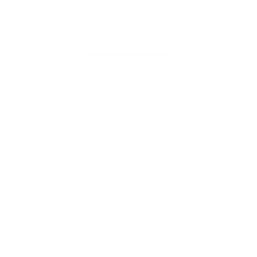 Benham and Reeves Instagram Channel